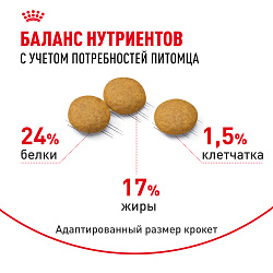 Сухой корм Royal Canin Medium Dermacomfort для взрослых средних пород 10 кг